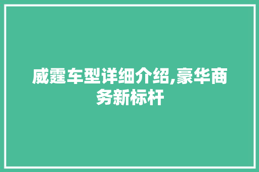 威霆车型详细介绍,豪华商务新标杆