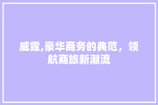威霆,豪华商务的典范，领航商旅新潮流