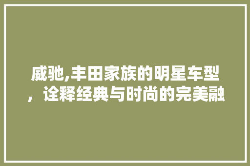 威驰,丰田家族的明星车型，诠释经典与时尚的完美融合