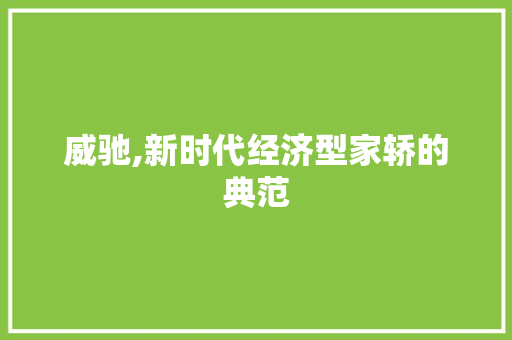 威驰,新时代经济型家轿的典范