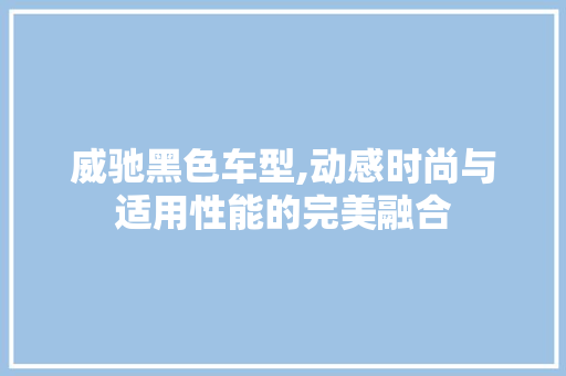 威驰黑色车型,动感时尚与适用性能的完美融合