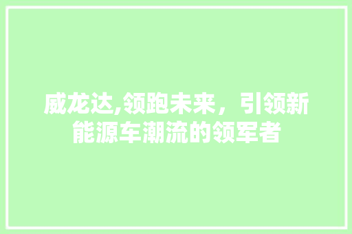 威龙达,领跑未来，引领新能源车潮流的领军者