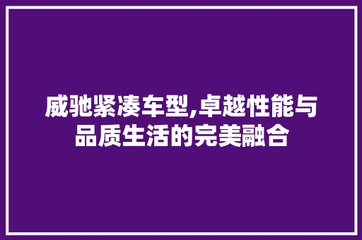 威驰紧凑车型,卓越性能与品质生活的完美融合