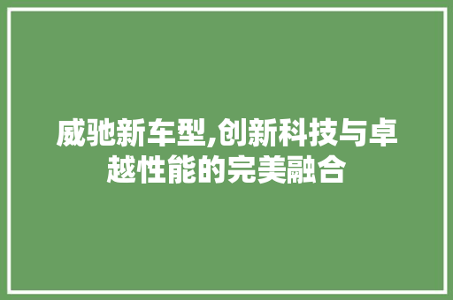威驰新车型,创新科技与卓越性能的完美融合