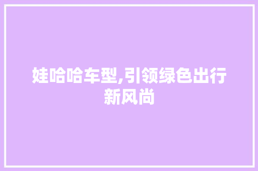 娃哈哈车型,引领绿色出行新风尚