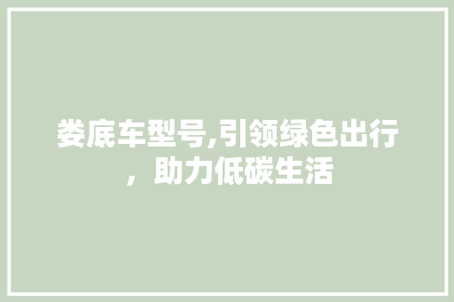 娄底车型号,引领绿色出行，助力低碳生活