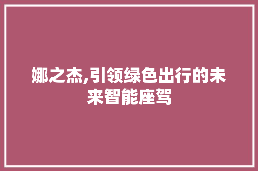 娜之杰,引领绿色出行的未来智能座驾