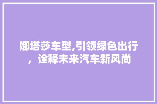 娜塔莎车型,引领绿色出行，诠释未来汽车新风尚