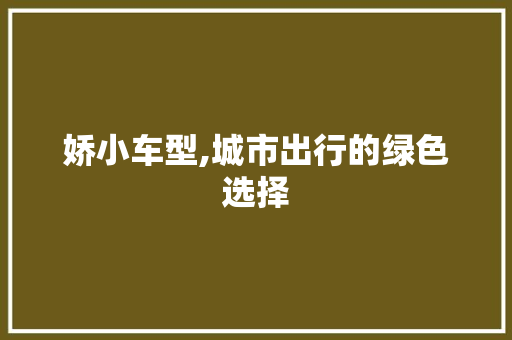 娇小车型,城市出行的绿色选择