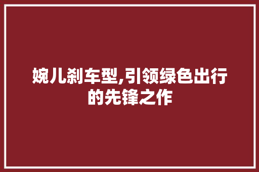 婉儿刹车型,引领绿色出行的先锋之作