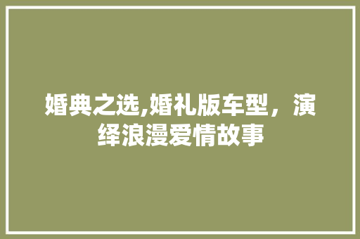 婚典之选,婚礼版车型，演绎浪漫爱情故事