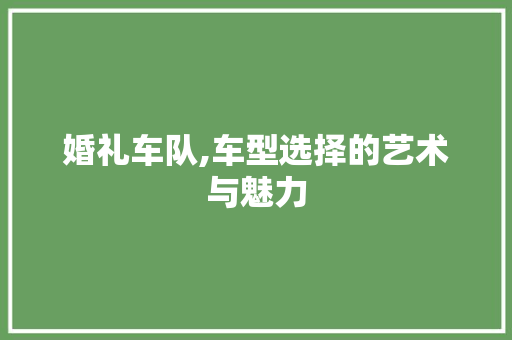 婚礼车队,车型选择的艺术与魅力