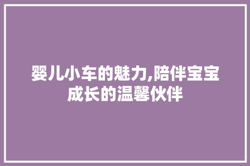 婴儿小车的魅力,陪伴宝宝成长的温馨伙伴