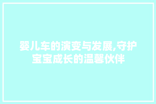 婴儿车的演变与发展,守护宝宝成长的温馨伙伴