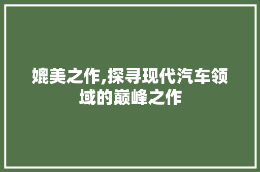 媲美之作,探寻现代汽车领域的巅峰之作