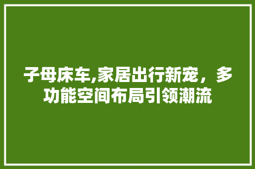 子母床车,家居出行新宠，多功能空间布局引领潮流