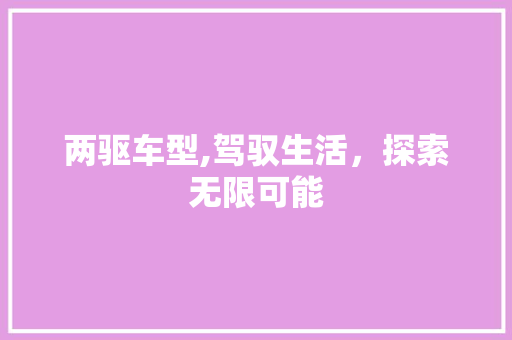 两驱车型,驾驭生活，探索无限可能 车灯配件