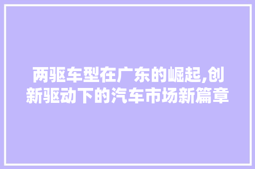 两驱车型在广东的崛起,创新驱动下的汽车市场新篇章 车灯配件