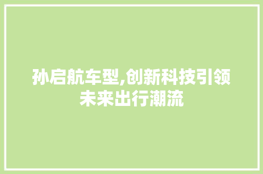 孙启航车型,创新科技引领未来出行潮流
