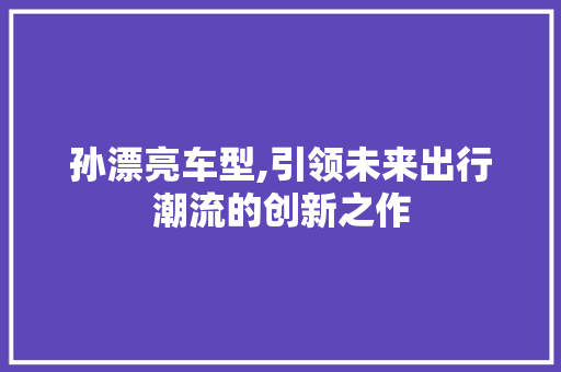 孙漂亮车型,引领未来出行潮流的创新之作