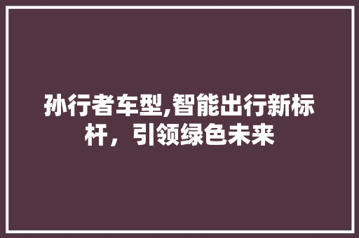 孙行者车型,智能出行新标杆，引领绿色未来