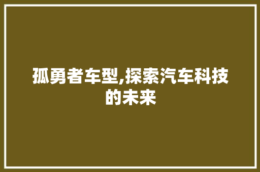 孤勇者车型,探索汽车科技的未来 底盘配件