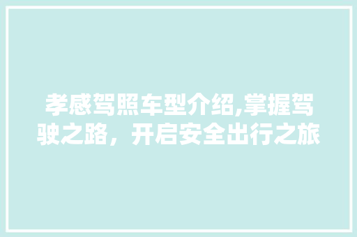 孝感驾照车型介绍,掌握驾驶之路，开启安全出行之旅