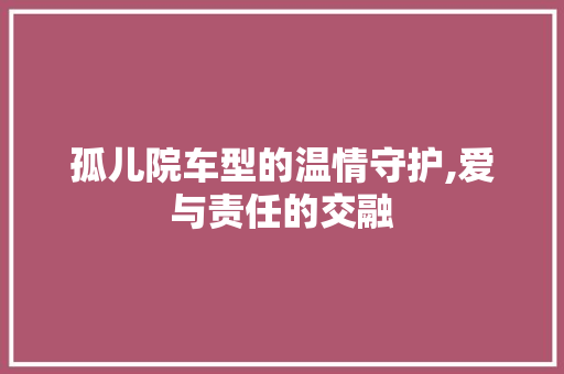 孤儿院车型的温情守护,爱与责任的交融