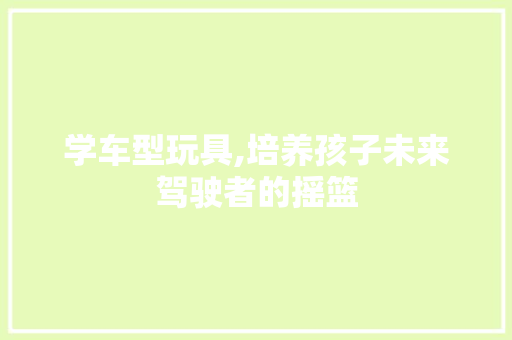 学车型玩具,培养孩子未来驾驶者的摇篮