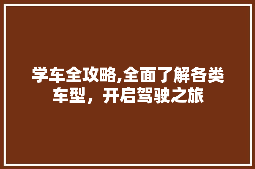 学车全攻略,全面了解各类车型，开启驾驶之旅
