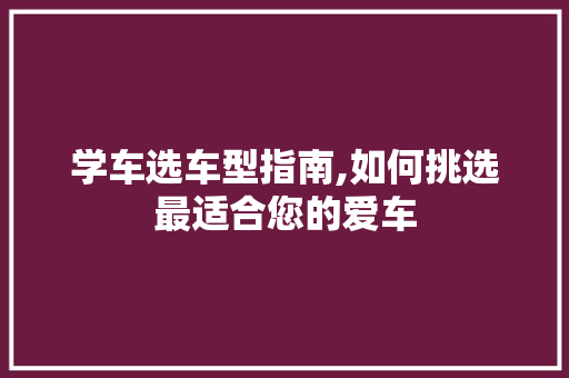 学车选车型指南,如何挑选最适合您的爱车