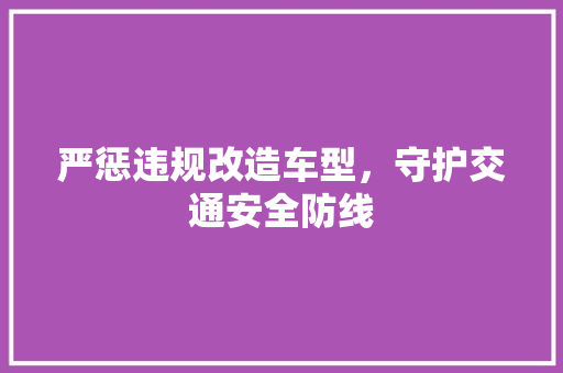 严惩违规改造车型，守护交通安全防线 底盘配件