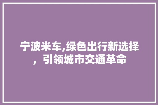 宁波米车,绿色出行新选择，引领城市交通革命