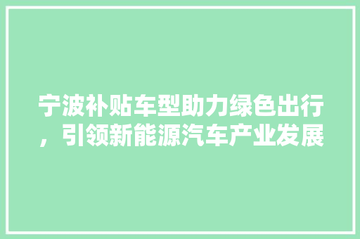 宁波补贴车型助力绿色出行，引领新能源汽车产业发展新潮流