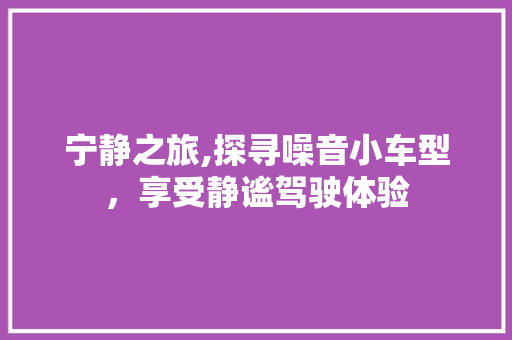 宁静之旅,探寻噪音小车型，享受静谧驾驶体验