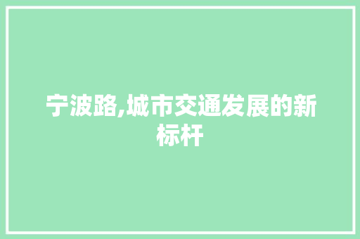 宁波路,城市交通发展的新标杆