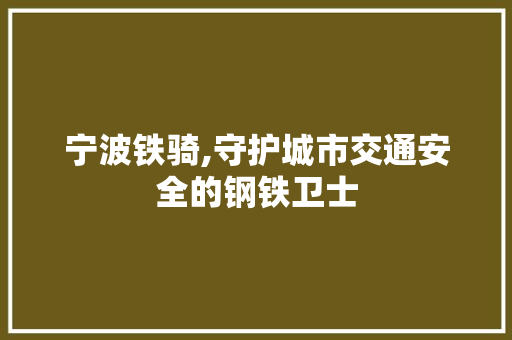 宁波铁骑,守护城市交通安全的钢铁卫士