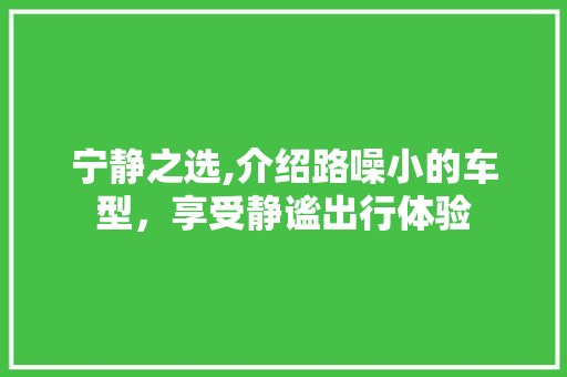 宁静之选,介绍路噪小的车型，享受静谧出行体验 新款车型