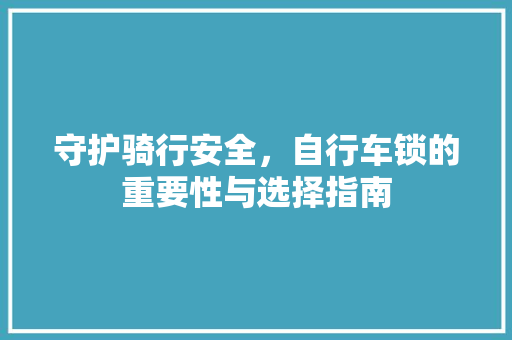 守护骑行安全，自行车锁的重要性与选择指南