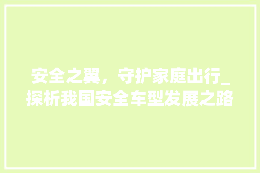 安全之翼，守护家庭出行_探析我国安全车型发展之路