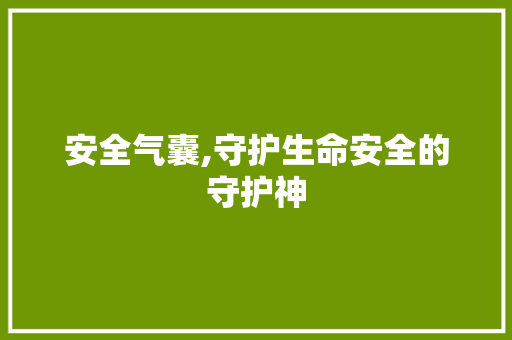 安全气囊,守护生命安全的守护神