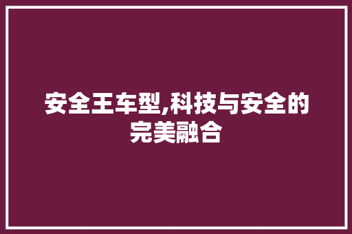 安全王车型,科技与安全的完美融合