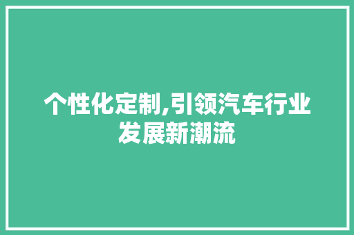 个性化定制,引领汽车行业发展新潮流