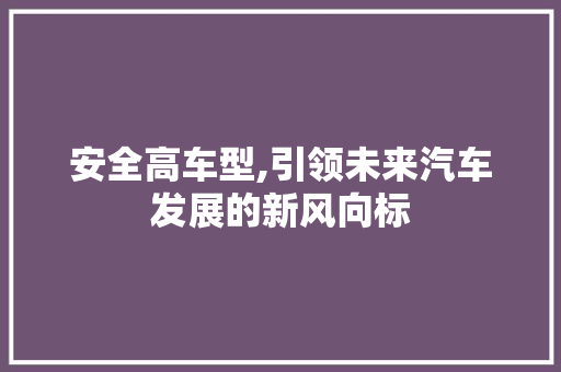 安全高车型,引领未来汽车发展的新风向标