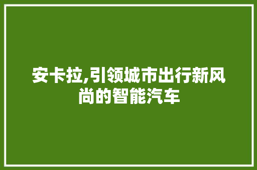 安卡拉,引领城市出行新风尚的智能汽车
