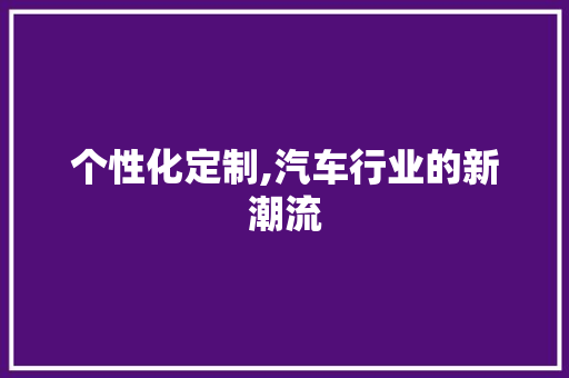 个性化定制,汽车行业的新潮流