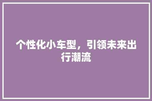 个性化小车型，引领未来出行潮流