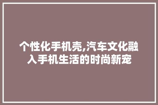 个性化手机壳,汽车文化融入手机生活的时尚新宠 车身配件