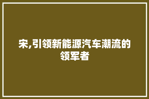 宋,引领新能源汽车潮流的领军者
