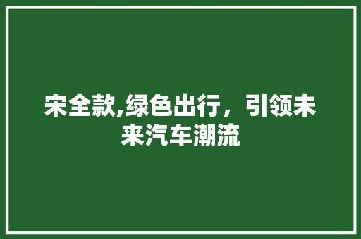 宋全款,绿色出行，引领未来汽车潮流